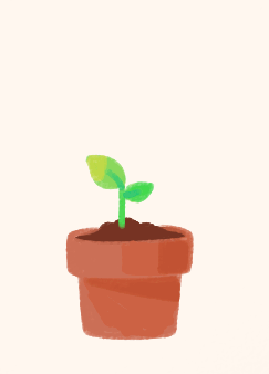plant grow